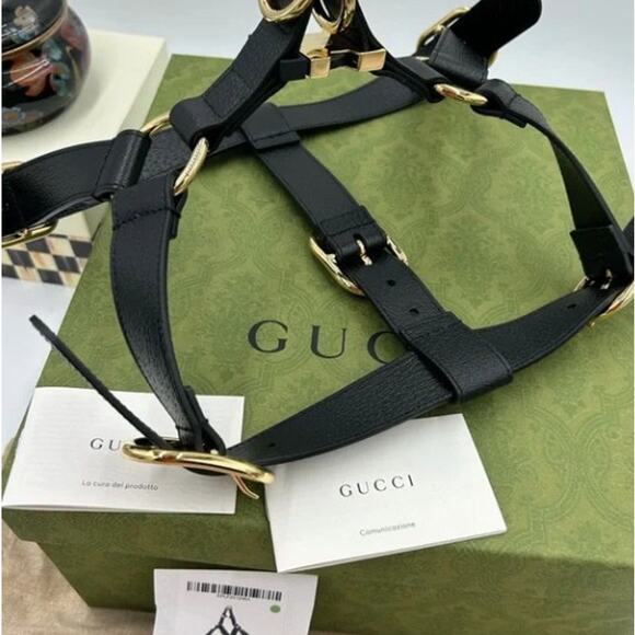 Gucci demetra , extra large leather dog harness made in Italy - Picture 4 of 14